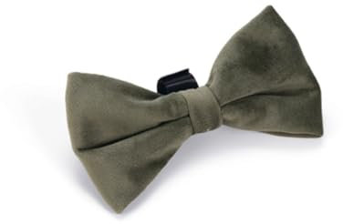 Designed by Lotte Fliege Zaza - Hundehalsband - Velvet - Grün - 12x7x2
