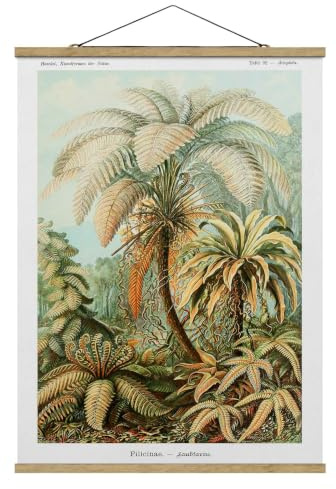 micasia Stoffbild Kunstdruck Wandbehang inkl. Holzfurnier & Kordel Wanddeko - Made in Germany - Pflanzen Retro Vintage grün Wohnzimmer Schlafzimmer Bild 5108 (80x106,5cm)