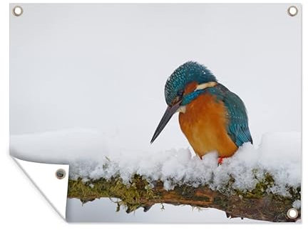 MuchoWow Outdoor-Poster Poster Wanddeko draußen Deko Garten Gartenposter 40x30 cm Eisvogel - Schnee - Winter