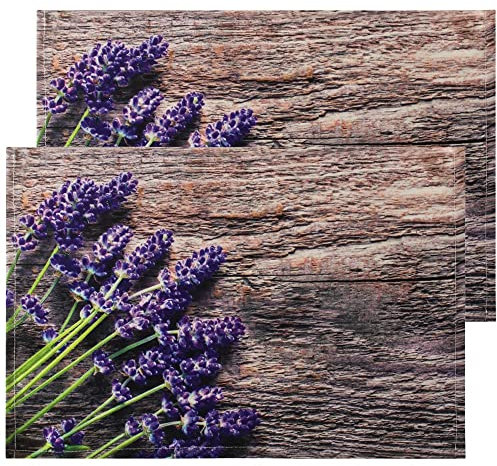 matches21 Stoff Tischsets als abwaschbare Platzdeckchen - 2 Stück Platzsets in 45 * 30 cm mit Landhausstil Lavendel - Waschbare Textil Esstisch Unterlagen als Tischdeko auch für Wohnzimmer