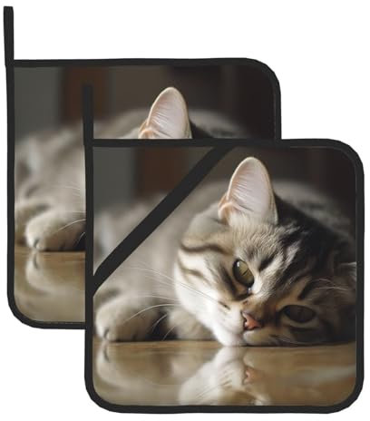 Lot de 2 maniques avec poche pour cuisine - Résistantes à la chaleur - Pour comptoirs - Pour chat endormi - Maniques de four - 20,3 cm