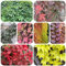 semi di vite selvatica - piante per luoghi soleggiati Parthenocissus tricuspidata - vecchie varietà piante resistenti per il giardino decorazione del balcone rampicanti resistenti 600pcs