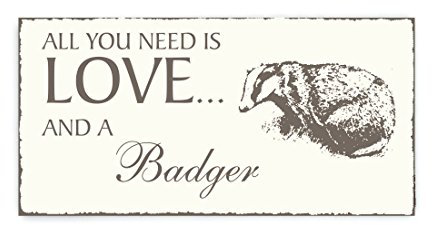 Shabby Vintage Wooden Sign All you need is LOVE and a BADGER Vintage Wooden Door Sign