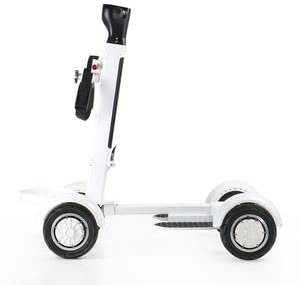 GolfTed GT-ER (E-rider) Electric Golf Cart, 4 Wheel Motorized Golf Cart | 2 years warranty