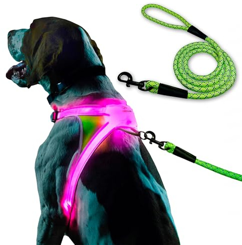 Noxgear LightHound (Large) + High-Visibility Dog Leash – Illuminated and Reflective Harness for Dogs Including Multicolored LED Fiber Optics (USB Rechargeable, Adjustable, Lightweight, Rainproof)