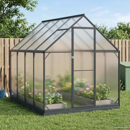 Runheo Serra da giardino in alluminio e acciaio zincato, antracite, con porta, 183,5 x 243,5 x 207 cm, resistente alle intemperie, per serre piante, pomodori, ortaggi in giardino, balcone o terrazza
