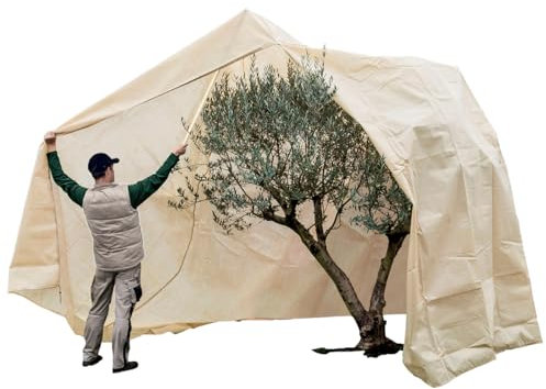 AFP Winterschutz Vlieshaube XXXL Mediterran EXTREM, beige, H: 340cm, Ø 250c, 140g/qm extrem stark, Kübelpflanzensack/Robuster Frostschutz Olive Palme/Kordel & Reißverschluss / 2 Jutesäckchen gratis