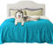 Lesure wasserdichte Hundedecke Grosse Hunde - 274x218cm waschbar Hundedecke Outdoor, Fleece Sofaschutz Decke groß, Katzendecke flauschig für Couch, Blaugrün
