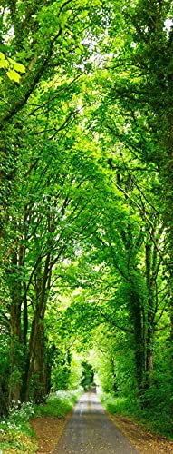 A.Monamour Adesivo Porta Autoadesiva Strada Attraverso Alberi Verdi Foresta Natura Scenario Vinile PVC Adesivi per Porte Interne 3D Pellicola Adesiva Poster Sticker Murale Parete Carta da Parati