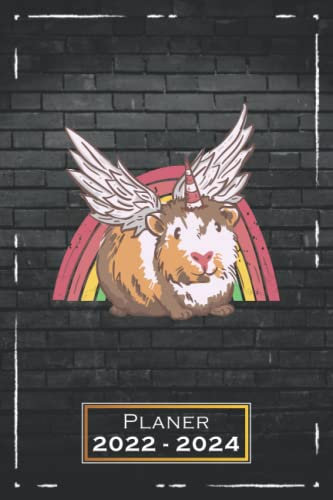 Paner 2022-2024: Meerchschweinchen, Gay | A5 (6x9) | von Juli 2022 bis Juni 2024 | Softcover | 1 Woche auf 2 Seiten | mit Monatsübersicht & Kontakttabelle | Hamster | qd3