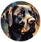 Puzzles für Labrador-Hund, 1000-teiliges Puzzle für Erwachsene, runde Puzzles, Entspannungspuzzlespiele (67,5 x 67,5), 1000 Teile