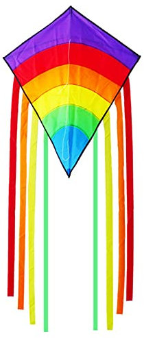 DERJDISF Drachen Flugdrachen für Erwachsene Bunt Delta Drachen Delta Lenkdrachen Flugdrachen mit Langen Buntem Schwänzen 73 * 65 cm inkl. 8x105cm Farbiger Schwanz