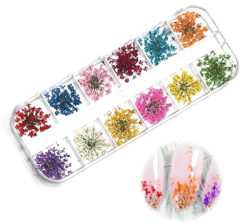YUZNA Fleurs séchées pour Nail Art, 1 boîte, Autocollants pour Nail Art, Kit de fleurs séchées, Kit d'accessoires pour fleurs séchées, Stickers ongles fleurs et décoration ongle DIY (12 couleurs)