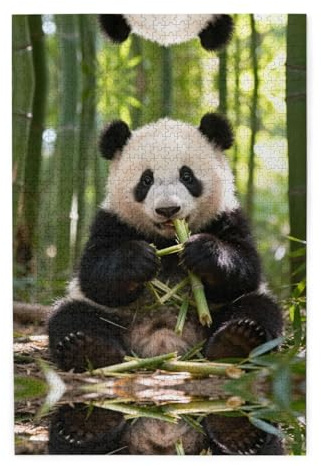 Cute Panda Wooden Jigsaw Puzzle 1000 Pieces Relaxing Family Activity for Adults, Colorful Landscape Puzzle in Plastic Box, Home Decor Gift