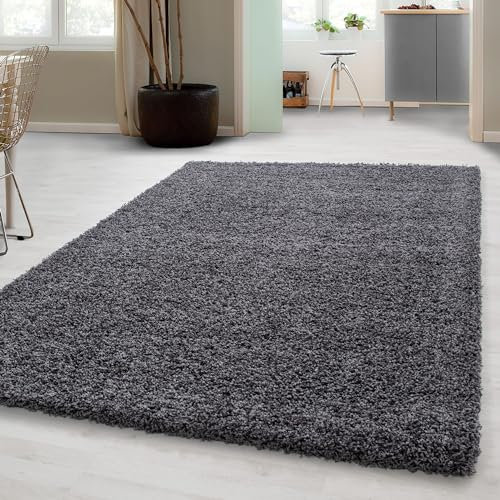 Carpetsale24 Shaggy Hochflor Teppich, 240x340 cm, Grau, weich, flauschig, modern, einfarbig, Für großzügige Wohnräume, für Wohnzimmer Schlafzimmer Flur
