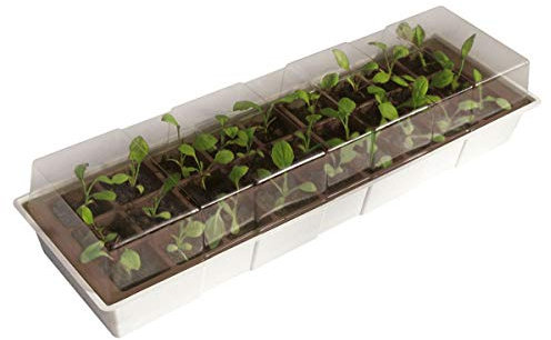 Mini serre pour semis