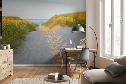 Komar Fototapete | SANDY PATH | 368 x 254 cm | Tapete, Wand Dekoration, Düne, Sand, Strand, Meer, Landschaft, Urlaub, Ostsee | 8-995