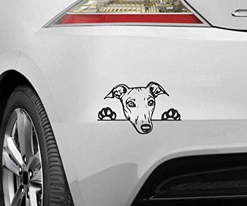 myrockshirt Peeking Dog Spähender Hund Greyhound Windhund ca.20cm Aufkleber,Sticker,Decal,Autoaufkleber,UV&Waschanlagenfest,Profi-Qualität,Wandtattoo