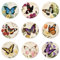 ANATTASOUL 9 Pièces sous-Verres Peinture, Floral Vintage Et Papillon Été Dessous de Verre Peinture Coasters, Arts et Artisanat pour Adultes, Peinture Dessous de Verre pour Maison, Bar
