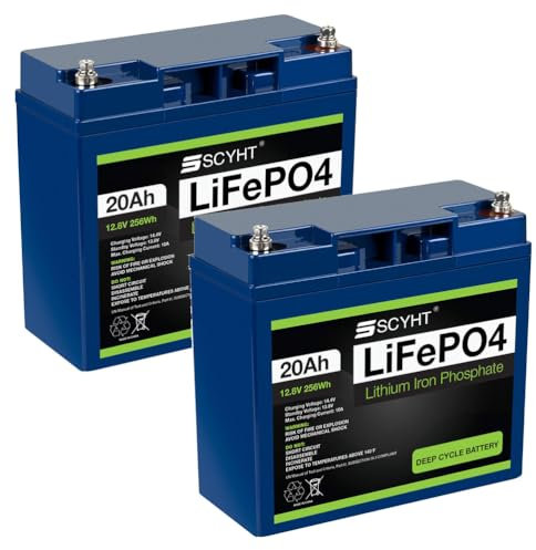 SSCYHT Batteria al litio 12V 20Ah Batteria LiFePO4 12V Batterie ricaricabili 20Ah Batterie agli ioni di litio per motori 50W a 250W per alimentazione di emergenza,12v20ah 2pack