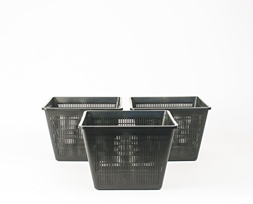 Inter Flowers GmbH Lot de 3 paniers de plantation carrés pour plantes aquatiques 28 x 28 x 18 cm