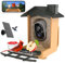 Vogelfutterhaus mit Kamera 2K HD Vollfarbe Nachtsicht KI Vogelerkennung Sofortiger Benachrichtigung Automatisch Aufnahme von Vogelvideos, Vogelhaus mit Kamera Solarbetrieben