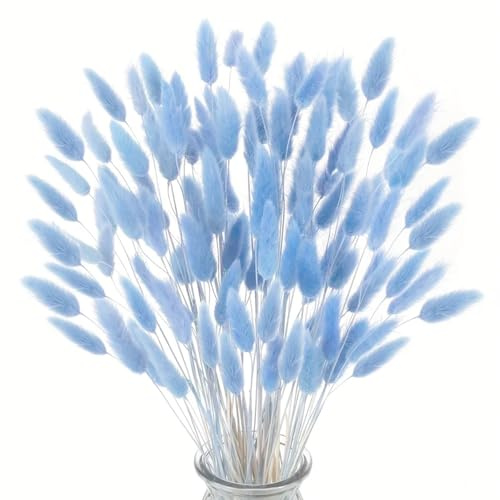 deegbbyi 120 Stück Pampasgras Deko, Blaue Getrocknete Pampasgras Dekoration, Getrocknete Hasenschwanz Blumen, Boho Deko, für Hochzeit, Wohnzimmer, Schlafzimmer, Heim Tischdeko