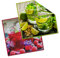 Brillenputztücher mit Motivdruck in verschiedenen Kombinationen (Fruits, 2er Pack 20 x 20 cm)