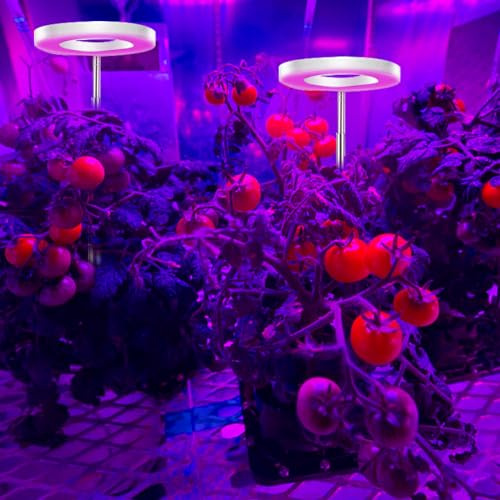 LED Pflanzenlampe Wachstumslicht, Vollspektrum Wachstumslampen für Pflanzen, 3000-6000K, Timing, 48LED, wasserdicht Pflanzenlicht für Setzlinge, Sukkulenten, Blumen (Rot Blau Licht, Doppelkopf)