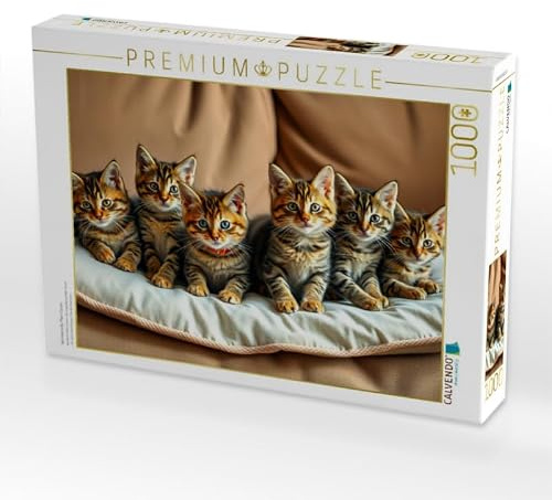 CALVENDO Puzzle Wundervolle Main Coons | 1000 Teile Lege-Größe 64 x 48 cm Foto-Puzzle für glückliche Stunden