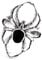 Windalf Spinnen Ring SPY h: 2.6 cm mit schwarzem Onyx 925 Sterlingsilber (Silber, 54 (17.2))