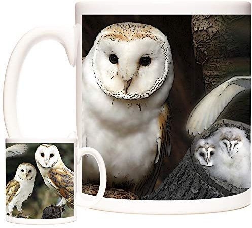 Beautiful BARN OWL Mug Magnificently Cute Owls on an 11oz Ceramic Mug. Dishwasher and Microwave Safe. Animals of The World Range