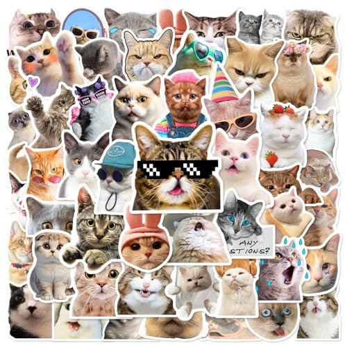 Ruzister 50-teiliges lustiges Katzen-Aufkleber-Set, süße Katzen-Aufkleber, wasserfeste Vinyl-Aufkleber, ästhetische Aufkleber für Katzenliebhaber, Wasserflaschen