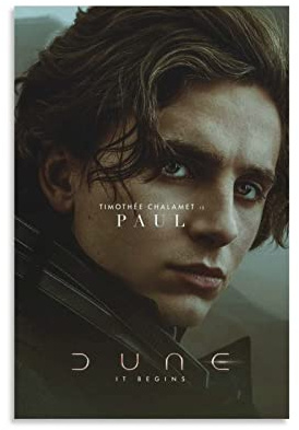 BBSYDH Bilder Wohnzimmer Modern 40 * 60cm Senza Cornice Dune Movie Timothée Chalamet Copertina Soggiorno Poster Camera da letto Pittura
