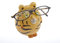 By-Bers Brillenhalter Uhu Eule Kautz handbemalt, lustig, für Spaßversteher und Junggebliebene, EIN schönes Designstück aus Polyresin (Brille_Tiger)