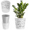 KADAX Maceta Redonda de Plástico para Flores y Plantas - Ligera y Moderna para Interiores y Balcón (17 cm, Gris)