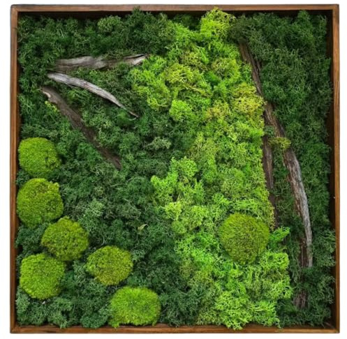 FLORISEA Moosbild 50x50 cm – Handgefertigtes konserviertes Rentiermoos im Holzrahmen – Pflegefreie Wanddekoration, Biophilic Design, Naturdeko fürs Wohnzimmer/Büro (Style 10)