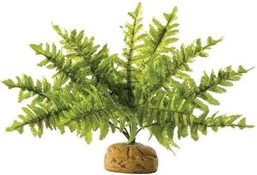 Exo Terra Boston Farn, künstliche naturgetreue Pflanze für Terrarien, ideal für Regenwaldterrarien, klein