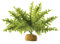 Exo Terra Boston Farn, künstliche naturgetreue Pflanze für Terrarien, ideal für Regenwaldterrarien, klein