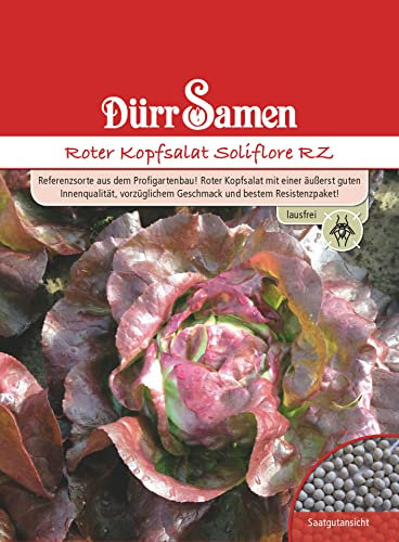 Dürr Samen 4266 Kopfsalat Soliflore RZ rot (Kopfsalatsamen)
