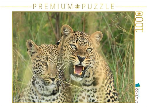CALVENDO Puzzle Leoparden – Vorsicht! | 1000 Teile Lege-Größe 64 x 48 cm Foto-Puzzle für glückliche Stunden
