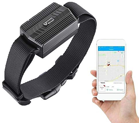 Zeerkeer Mini GPS Tracker - Waterproof Rechargeable GSM/GPRS Dog Tracking Device, 50 Days Standby, Real-Time Locator for Hound, Horse, Sheep With Free APP TK935