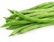 French Bean Plants, 'Tendergreen', 12 x Full Plant Pack, French Beans, Vegetable Plants, Garden Ready and Ready to Plant, Premium Quality Veg
