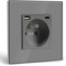 BSEED Prise Murale avec USB et 1 Type C,16A Prise de Courant Alternatif avec Panneau en Verre,Multiprise Murale Max 2.1A,Convient au Smartphone, à la Tablette (1 Prise avec USB et Type C,Gris)