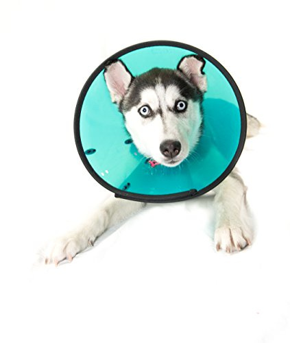 MDC Smart Collar Size 2 Medium (Neck 23-30cm)-Assortment