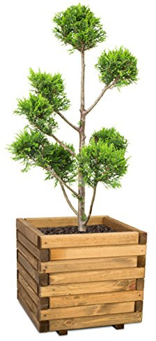 Primrose Small Wooden Outdoor Raised Cube Planter Treated Pine and Responsibly Sourced 42cm (16.5in)