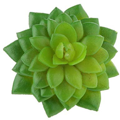 Piante Grasse Artificiali Non in Vaso per Decorazione Domestica, Pareti Interne e Giardino - Decorazioni Fai Da Te Comode