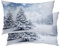 BaoNews Weiße Weihnachtsbäume Kissenbezüge, Silber, Schneekissen, Digital-Mischung, versteckter Reißverschluss, dekorative Kissenbezüge für Schlafzimmer, Lendenwirbelsäule, 50,8 x 66 cm, 2 Stück