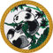 Pandabär Aufnäher Panda Aufbügler China Wildlife Patches Kinder Sticker Umweltschutz Aufkleber Naturfreunde Bügelbild Applikation zum aufnähen/aufbügeln | 75x75mm