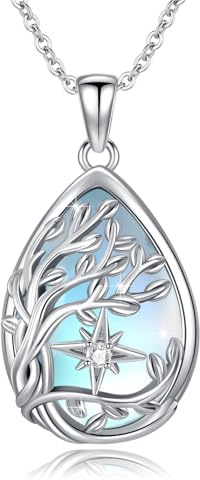 PARYFO 925 Sterling Silber Anhänger für Frauen Mädchen Traumfänger/Baum des Lebens/Mond und Sonne/keltischer Mond/Kompass Anhänger Halskette Valentinstag Geschenke für Frau Mutter Tochter Liebhaber